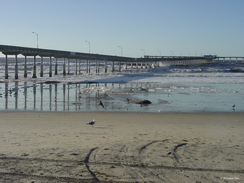 Ocean - San Diego 1-05 1008
